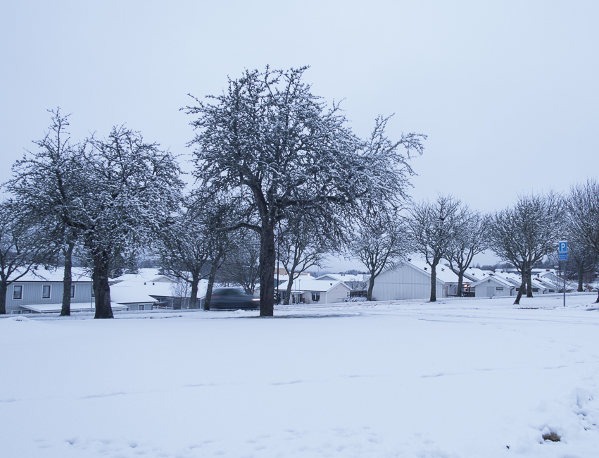 Vår i luften ena da'n, snö i nästa..